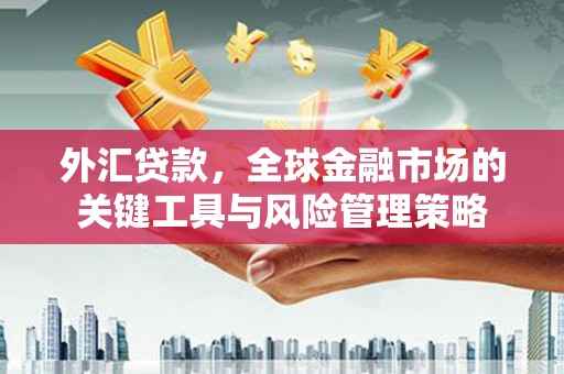 富蕴外汇贷款，全球金融市场的关键工具与风险管理策略