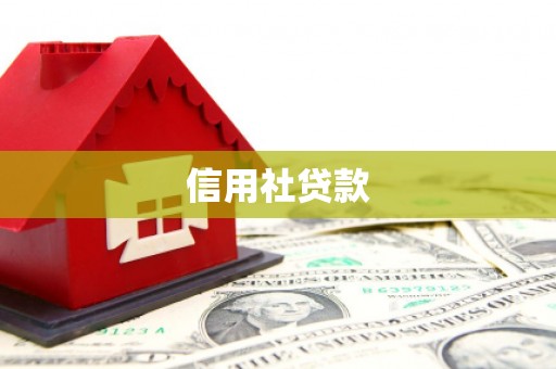 富蕴信用社贷款