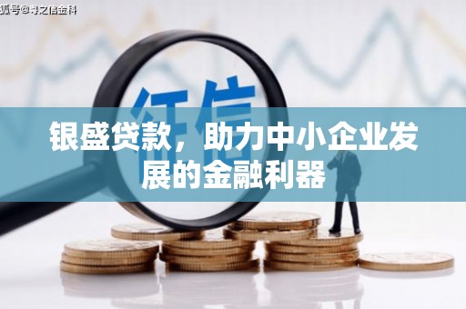 富蕴银盛贷款，助力中小企业发展的金融利器