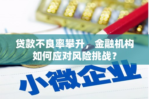 富蕴贷款不良率攀升，金融机构如何应对风险挑战？