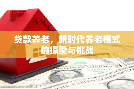 富蕴贷款养老，新时代养老模式的探索与挑战