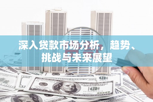 富蕴深入贷款市场分析，趋势、挑战与未来展望