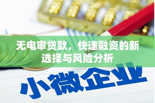 富蕴无电审贷款，快速融资的新选择与风险分析