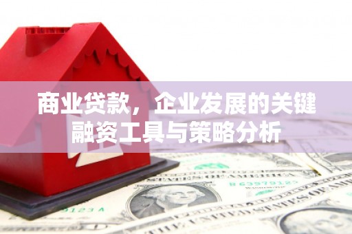 富蕴商业贷款，企业发展的关键融资工具与策略分析