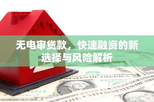 富蕴无电审贷款，快速融资的新选择与风险解析