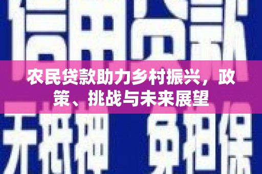 富蕴农民贷款助力乡村振兴，政策、挑战与未来展望