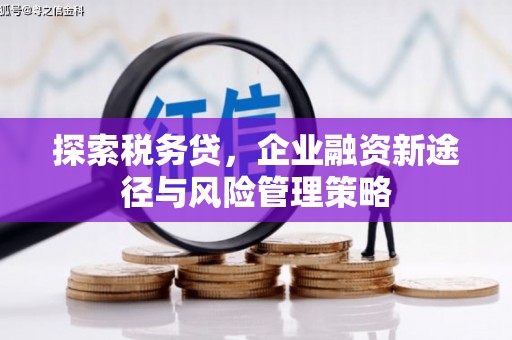 富蕴探索税务贷，企业融资新途径与风险管理策略