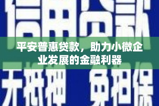 富蕴平安普惠贷款，助力小微企业发展的金融利器