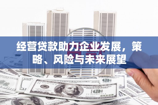 富蕴经营贷款助力企业发展，策略、风险与未来展望