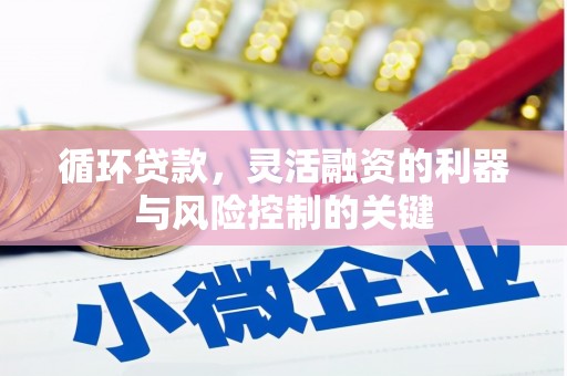 富蕴循环贷款，灵活融资的利器与风险控制的关键