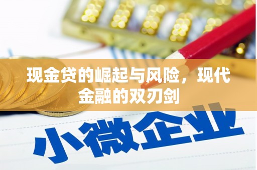 富蕴现金贷的崛起与风险，现代金融的双刃剑