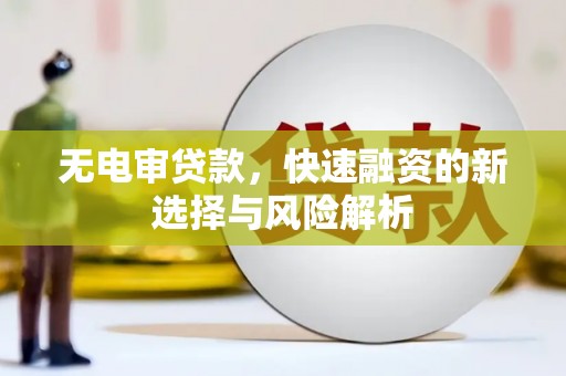 富蕴无电审贷款，快速融资的新选择与风险解析
