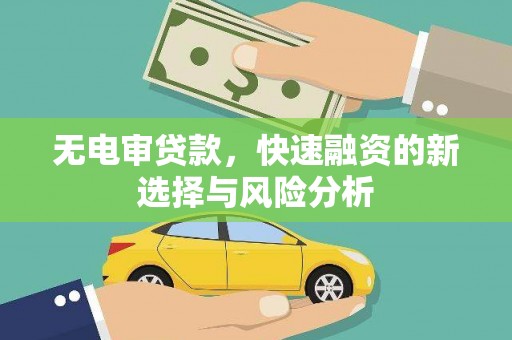富蕴无电审贷款，快速融资的新选择与风险分析