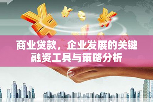 富蕴商业贷款，企业发展的关键融资工具与策略分析