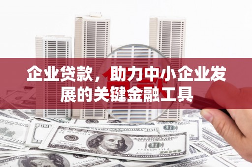 富蕴企业贷款，助力中小企业发展的关键金融工具
