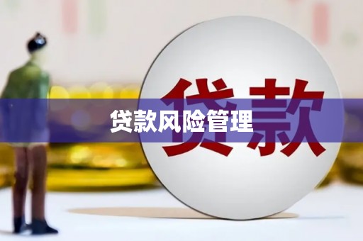 富蕴贷款风险管理