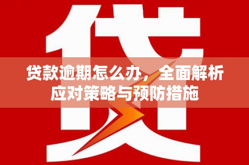 富蕴贷款逾期怎么办，全面解析应对策略与预防措施