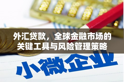 富蕴外汇贷款，全球金融市场的关键工具与风险管理策略