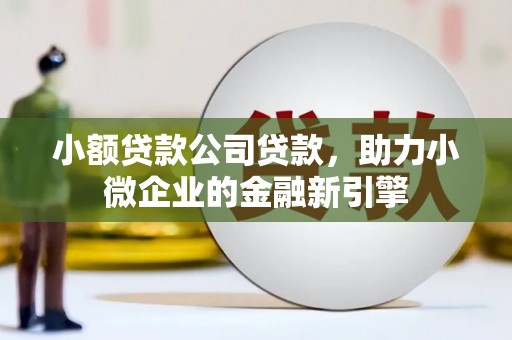 富蕴小额贷款公司贷款，助力小微企业的金融新引擎