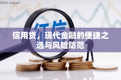 富蕴信用贷，现代金融的便捷之选与风险防范