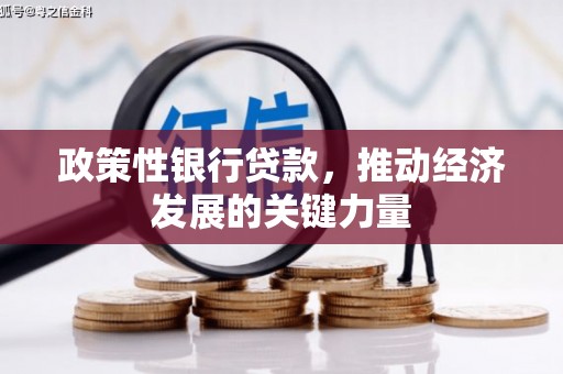 富蕴政策性银行贷款，推动经济发展的关键力量