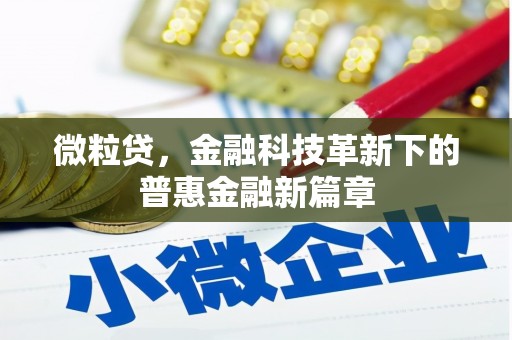 富蕴微粒贷，金融科技革新下的普惠金融新篇章