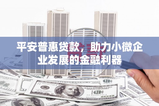 富蕴平安普惠贷款，助力小微企业发展的金融利器