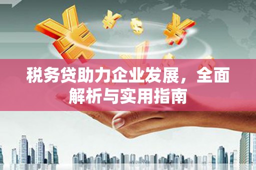富蕴税务贷助力企业发展，全面解析与实用指南