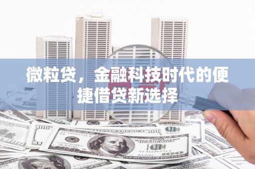 富蕴微粒贷，金融科技时代的便捷借贷新选择
