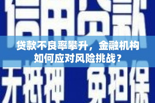 富蕴贷款不良率攀升，金融机构如何应对风险挑战？