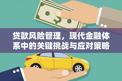 富蕴贷款风险管理，现代金融体系中的关键挑战与应对策略