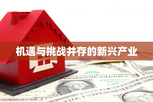 富蕴机遇与挑战并存的新兴产业