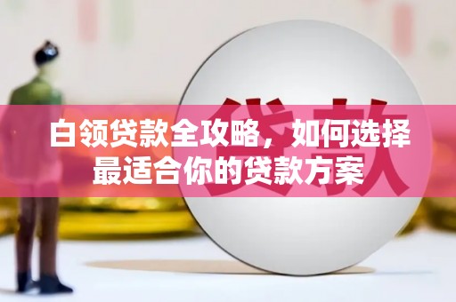 富蕴白领贷款全攻略，如何选择最适合你的贷款方案